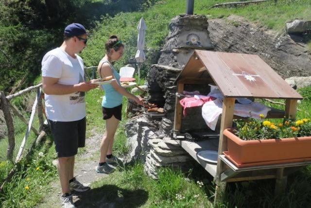 Edelweiss Mountain Guest House - 1 Hour Hike Up From Zermatt Station - On Hiking Trail - No Transport Екстер'єр фото